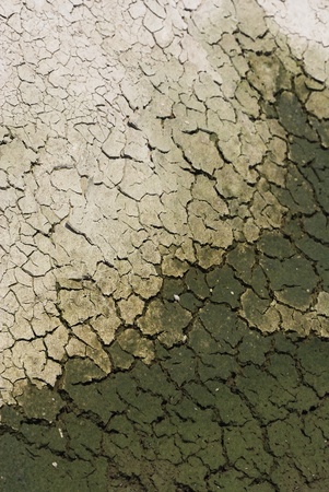Cracked land caused by droughtの写真素材