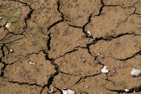 Cracked land caused by droughtの写真素材