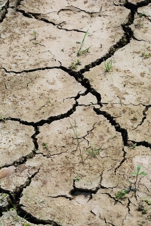 Cracked land caused by droughtの写真素材