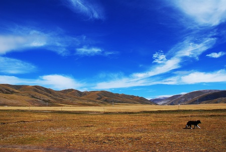 Mountain landscape  Beautiful composition of nature  の写真素材