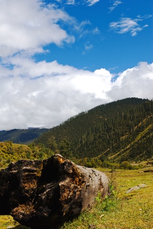 Mountain landscape  Beautiful composition of nature  の写真素材