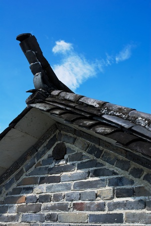 China tileの写真素材