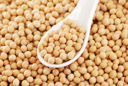 the soya beans