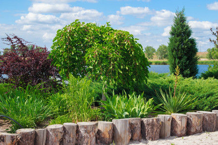 Decorate a beautiful park on a hill.with blue sky