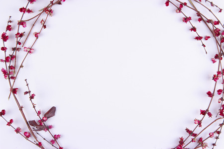 Pink orchid flower, isolated on white backgroundの写真素材