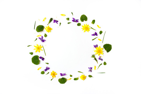 Flowers composition. Wreath made of yellow flowers on white background. Flat lay, top view, copy space.の写真素材
