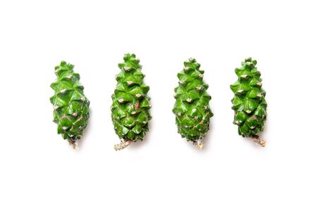 pine cones isolated on white background