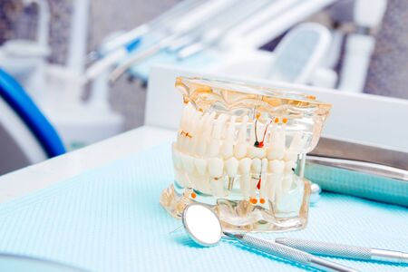 White teeth dummy and instruments in dental office. Dentist backgroundの写真素材