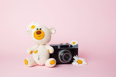 Toy teddy bear with daisies and vintage old camera isolated on a pink background. Baby background. Copy space.の写真素材