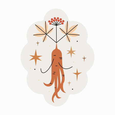 Outline emblem or logo of red or panax ginseng root with red berries. Ginseng drawing for print, icon, logo, emblem, label, stamp and other decoration. Trendy simple minimalistic vector illustration.のイラスト素材