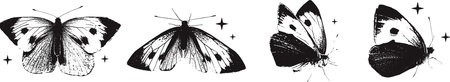 Butterflies vector illustration with vintage stipple effect, y2k collage design set or collection. Monochrome moth photocopy retro design elements for grunge gothic surreal posterのイラスト素材