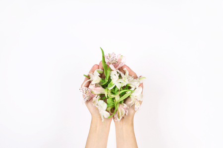Hands of a girl with flowers on a light gray background. View from above. Flowers background.の写真素材