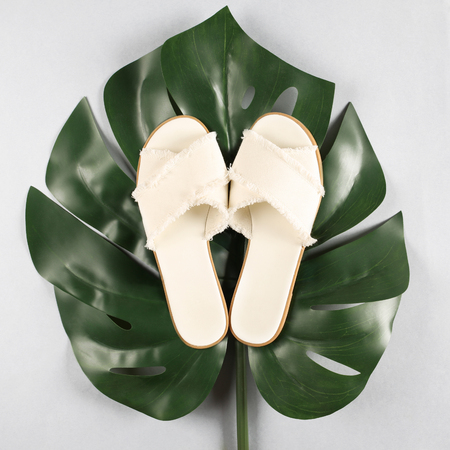 Monstera green leaves. Women's white fabric sandals on a gray backgroundの写真素材