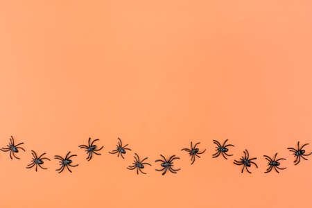 Halloween background with the spiders on orange background. Flat lay, topの写真素材