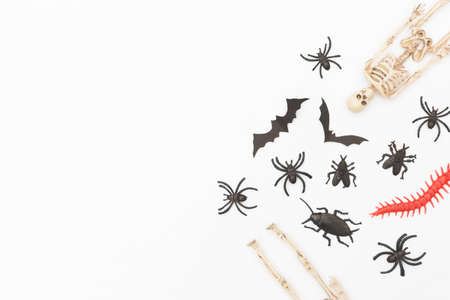 Halloween decorations on white background with space for text. Flat lay, topの写真素材