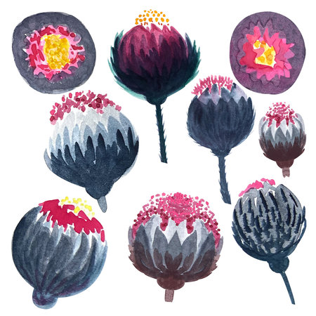 Dark pink moody fantasy flower watercolor illustrationsの写真素材