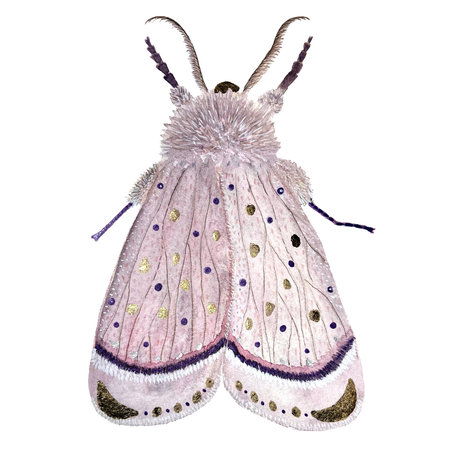Hand painted watercolor delicate textured pink mothの写真素材