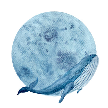 Watercolor hand-drawn humpback whale and a moon isolated on whiteの写真素材
