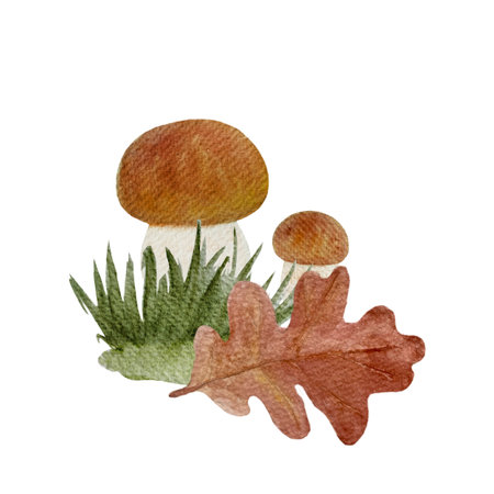 Porcini mushroom with a snail and oak leaf watercolor compositon isolated on whiteの写真素材