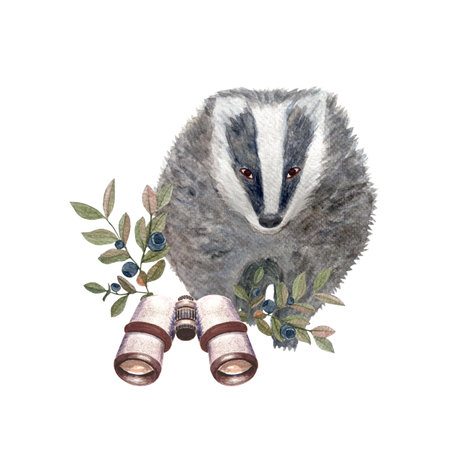 Binoculars, badger, blueberry forest watercolor composition isolated on white. Hand drawn high quality art in simple flat style for woodland kids designs, textile, interior decor, stickers and logoの写真素材