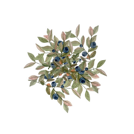 Blueberry sprig pile watercolor illustration isolated on white. Hand drawn high quality art with wild edible forest plant in simple flat style for packages and labels for tea, food and drink designの写真素材