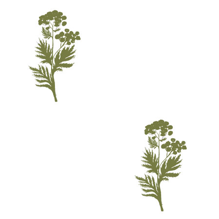 Blue tansy wild herb green monochromatic vertical seamless pattern isolated on white. Hand painted in watercolor. High quality art for cards, packages, wallpaper, wrapping paper, notebooks, eco designの写真素材