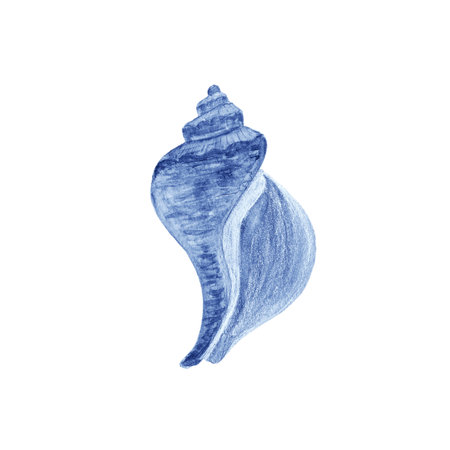 Shell in watercolor hand-drawn blue monochrome isolated on white. High quality illustration for notebooks, cards, posters, restaurant menu, souvenirs, stickers, tourism ads, dishes, room decorの写真素材