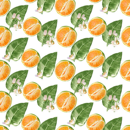 Green orange fruits and flowers watercolor seamless pattern isolated on white. High quality hand drawn clip art perfect for food design, packages, backgrounds, cards, textile, label, wrapping paperの写真素材