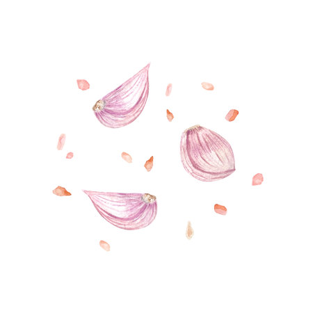 Garlic and Himalayan salt watercolor composition isolated on white background, hand drawn for food design. Spice box, restaurant and cafe menu, packaging, cards, food ads, labels decor and designの写真素材