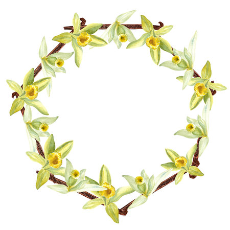 Vanilla orchid flowers and beans watercolor wreath isolated on white background. High quality hand drawn design element perfect for spice box, cards, cafe menu, packaging, recipes, label logo decorの写真素材