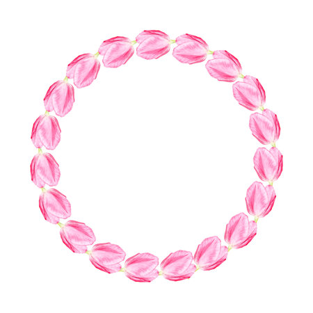 Tulip watercolor wreath isolated on white. Hand painted delicate pink flowers, eco design. High quality clip art perfect for mothers, womens day cards, posters, banners, female products decor and designの写真素材