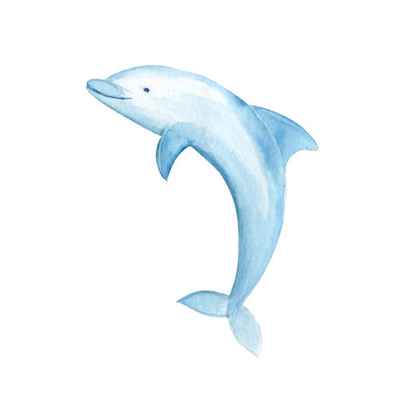 Jumping dolphin watercolor illustration isolated on white. Hand drawn blue monochromatic clip art perfect for notebooks, posters, wallpaper, tote bags, cards, eco, tickets, tourism, nursery room decorの写真素材