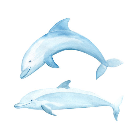 Two dolphins watercolor illustration set isolated on white. Hand-drawn blue monochromatic clip art perfect for notebooks, posters, wallpaper, tote bags, cards, eco, tourism, room decor and designの写真素材