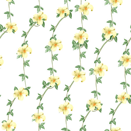 Liana branches with white flowers watercolor seamless pattern isolated on white. Hand drawn design perfect for cards, posters, botanical patterns, eco decor, tropical rainforest design. Nature clip artの写真素材