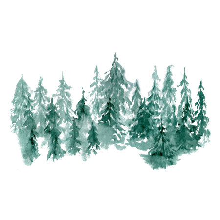 Dense evergreen forest with layered fir and pine trees watercolor illustration isolated on white. Soft, natural, slightly rustic look perfect for packaging, cards, branding, nature themes, adventure designsの写真素材