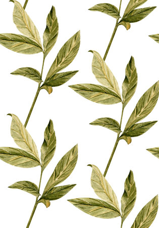 Green peony leaf with delicate botanical details watercolor seamless pattern isolated on white. Hand-painted for wedding design, eco packaging, branding, stationery, and digital creative projectsの写真素材