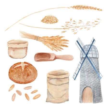 Wheat ears, grains, bread, flour sack, mill, wooden scoop, and jars. Watercolor set of farming and baking elements. Ideal for organic food branding, bakery packaging, and countryside themed designsの写真素材