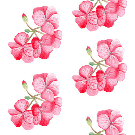 Red geranium flower seamless pattern. Hand-painted watercolor delicate petals and green buds. Perfect for wrapping paper, floral textile, wedding invitations, greeting cards, natural decor projectsの写真素材