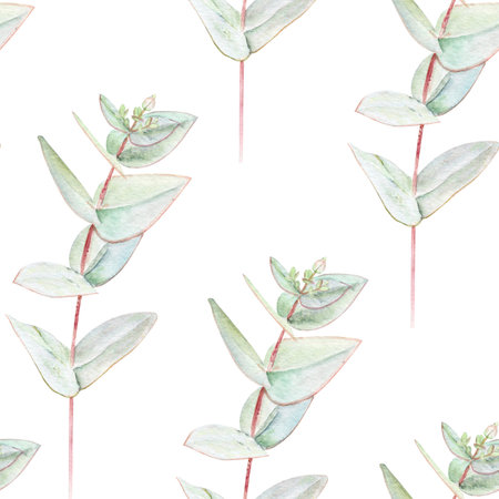 Eucalyptus branch with pointed leaves watercolor seamless pattern on white background. Hand-painted art ideal for textile, natural cosmetics branding, packaging, fabric, eco decor, stationeryの写真素材