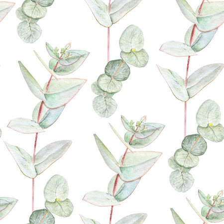Eucalyptus branch with pointed and round leaves watercolor seamless pattern on white background. Hand-painted art ideal for textile, natural cosmetics branding, packaging, fabric, eco decor, stationeryの写真素材