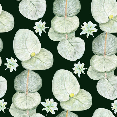 Eucalyptus branch with round leaves and flowers watercolor seamless pattern on dark background. Hand-painted art ideal for textile, natural cosmetics branding, packaging, fabric, eco decor, stationeryの写真素材