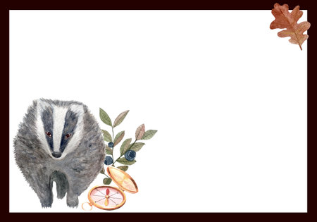 Badger, golden compass, oak leaf, and blueberry branches watercolor autumn frame on white background. Woodland wildlife design perfect for greeting cards, invitations, posters, and rustic projectsの写真素材
