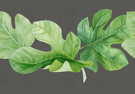 Fig leaf, detailed green texture watercolor seamless border isolated on gray. Hand-painted botanical...