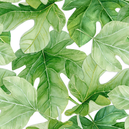 Fig leaf, detailed green texture watercolor seamless pattern isolated on white. Hand-painted botanical clipart for organic design, food packaging, eco branding, seasonal decor, healthy lifestyle projectsの写真素材
