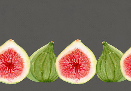 Figs watercolor seamless border, whole fruits, slices isolated on grey. Hand painted illustration for food design, organic market, packaging, recipe books, kitchen decor, healthy lifestyle conceptsの写真素材