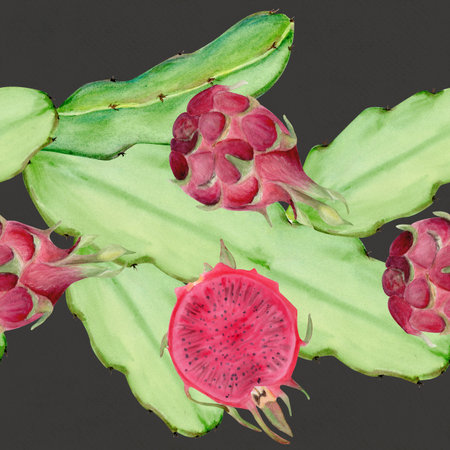 Dragon fruit, cactus stems seamless watercolor border isolated on dark grey. Tropical clip art perfect for fabric, packaging, summer design, healthy food branding. Hand-painted textured illustrationの写真素材
