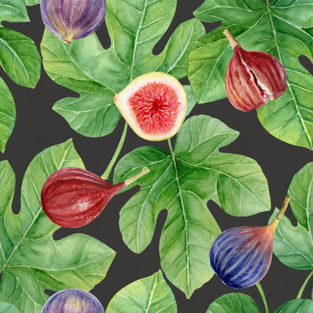 Figs with leaves, detailed texture watercolor seamless pattern isolated on gray. Hand-painted botanical clipart for organic design, food packaging, eco branding, textile, wrapping paper, healthy lifestyle projectsの写真素材