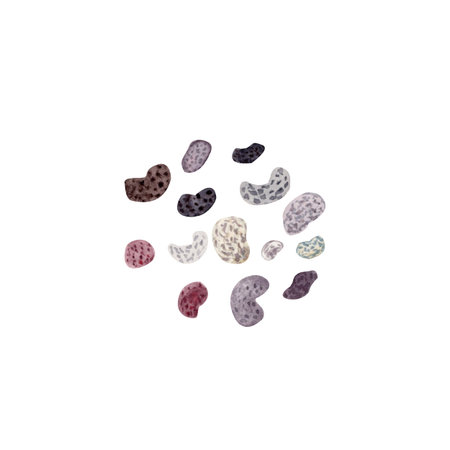 Poppy seeds textured scattered grains, watercolor food ingredient illustration isolated on white....