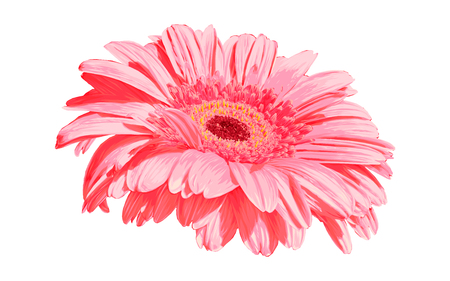 Gerber. Vector illustration. Beautiful flower design.のイラスト素材