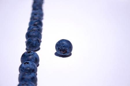Blueberry. Close-up view of fresh blueberries isolated on white background.